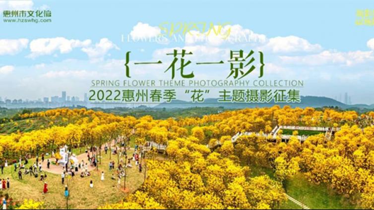 艺苑微展丨“一花一影”2022春季摄影优秀作品展