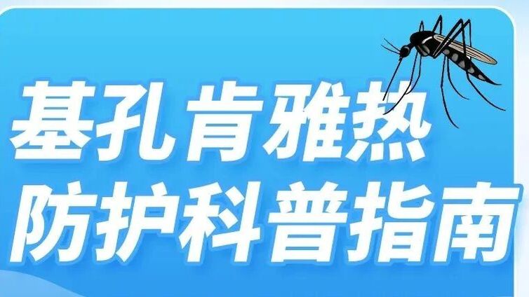 基孔肯雅热的11个关键问题，一次说清→