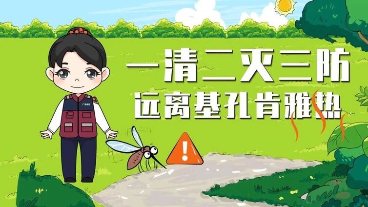 赶紧行动起来！一清二灭三防，远离基孔肯雅热！