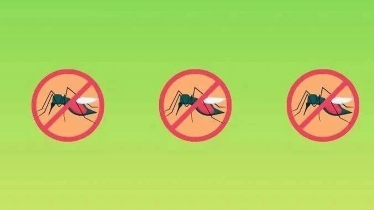 室内外所有蚊虫滋生地都在这了，7招快速清除！